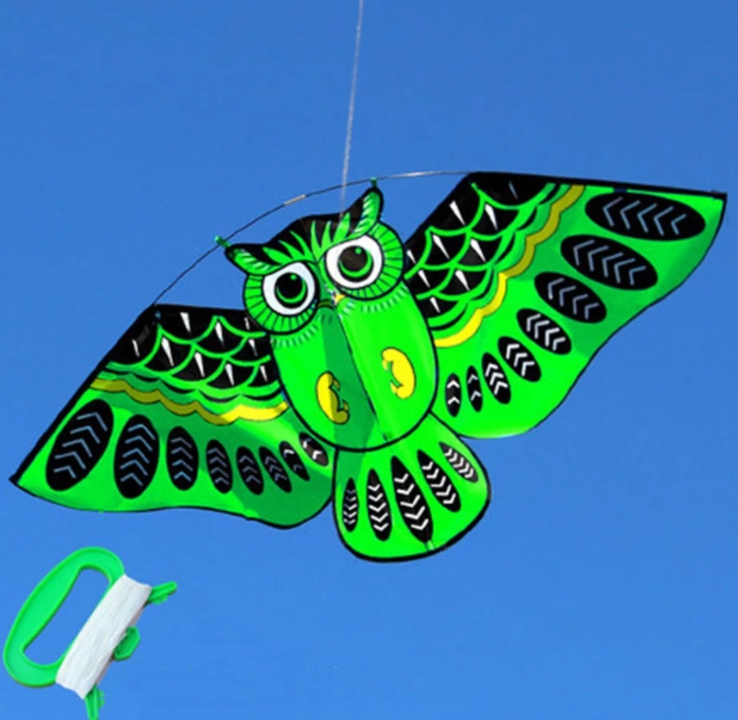 Cerf-volant adulte ou enfant